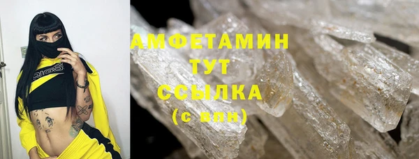 шишки Арсеньев