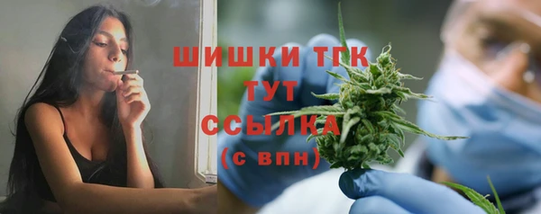 шишки Арсеньев