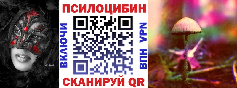 где купить   Коломна  Галлюциногенные грибы MAGIC MUSHROOMS 